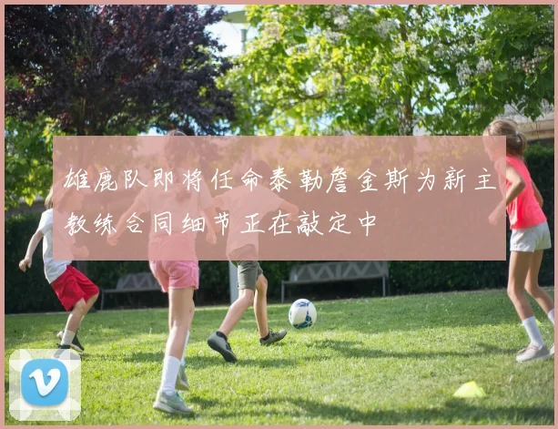 雄鹿队即将任命泰勒詹金斯为新主教练合同细节正在敲定中