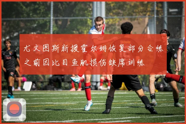 尤文图斯新援霍尔姆恢复部分合练之前因比目鱼肌损伤缺席训练
