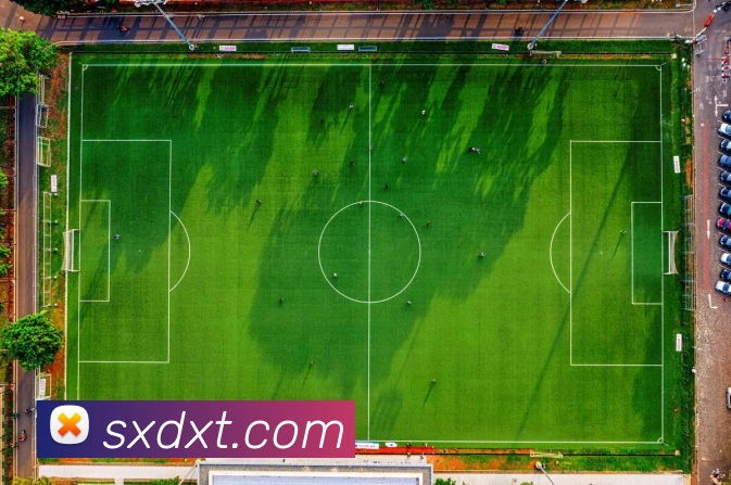 开云在线登录入口官网平台生态图